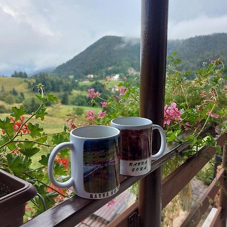 Apartman Skender 3* Ravna Gora Appartamento Esterno foto