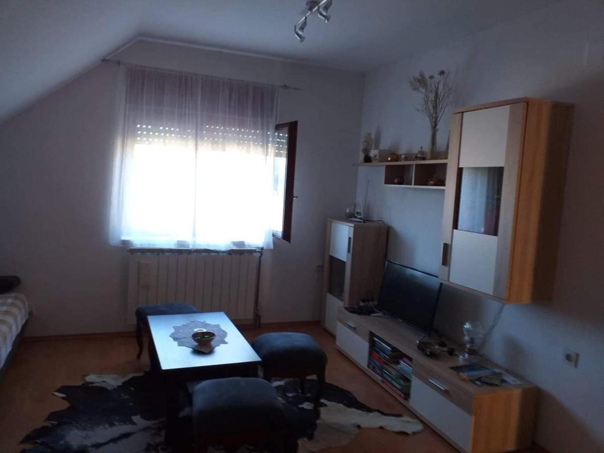 Apartman Skender 3* Ravna Gora Appartamento Esterno foto