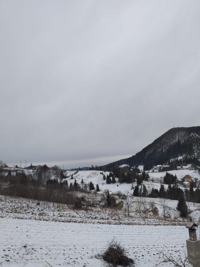 Apartman Skender 3* Ravna Gora Appartamento Esterno foto