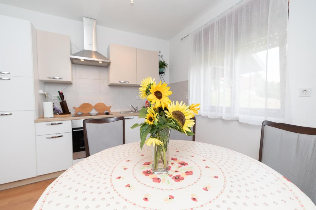 Apartman Skender 3* Ravna Gora Appartamento Esterno foto