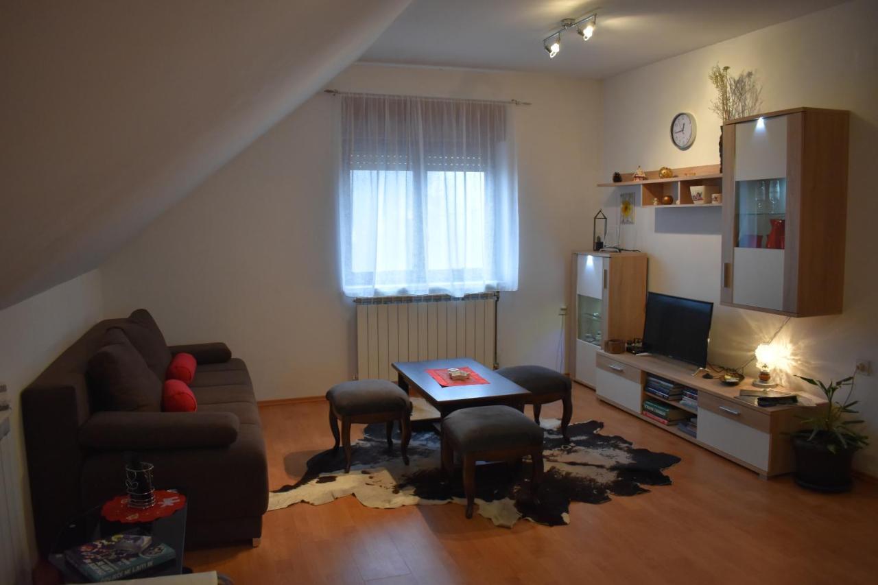 Apartman Skender 3* Ravna Gora Appartamento Esterno foto