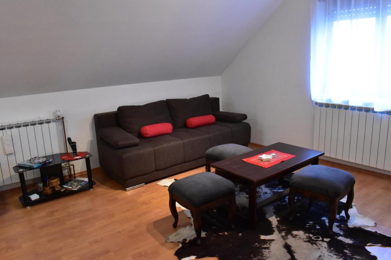 Apartman Skender 3* Ravna Gora Appartamento Esterno foto