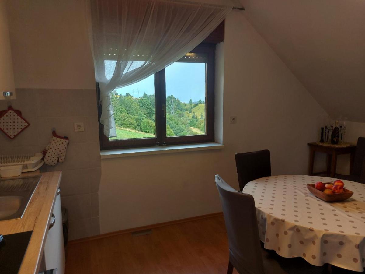 Apartman Skender 3* Ravna Gora Appartamento Esterno foto
