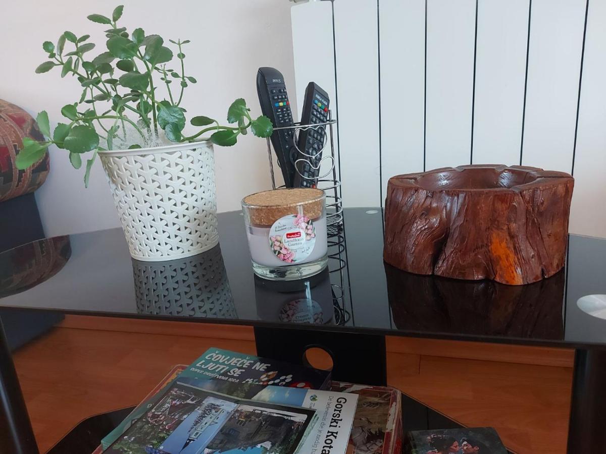 Apartman Skender 3* Ravna Gora Appartamento Esterno foto