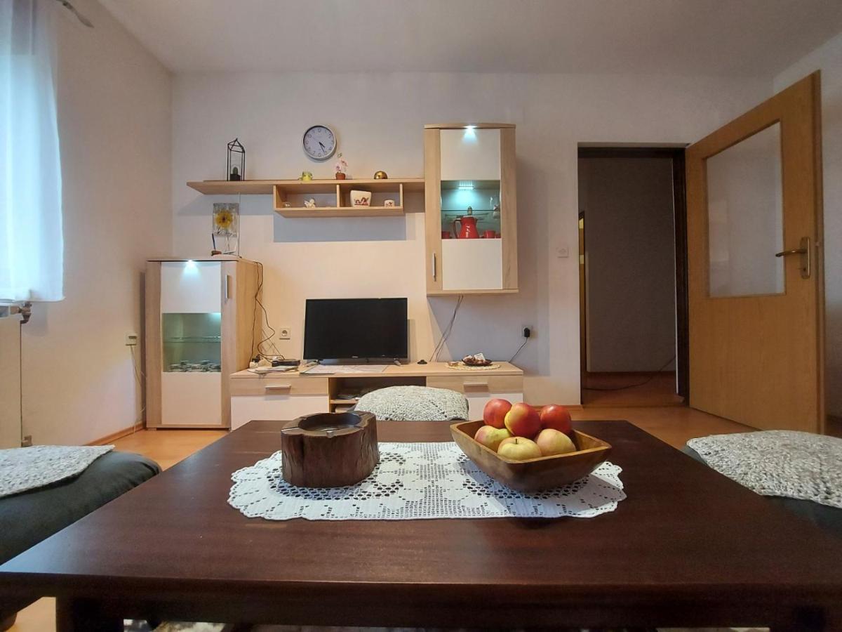 Apartman Skender 3* Ravna Gora Appartamento Esterno foto